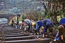 Venture Scouts laying track at the Hay Inclined Plane.1970s