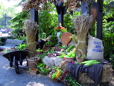 Harvest Festival Garden